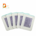 Factory Wholesale Private Label Natural Cleansing Foot Pads Heating Foot Patch for Sleeping