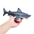 Zhiqu 1/12 Scale Megalodon Shark Model Solid Plastic Boy Simulation Marine Creature Undersea World Featuring Great White Whale