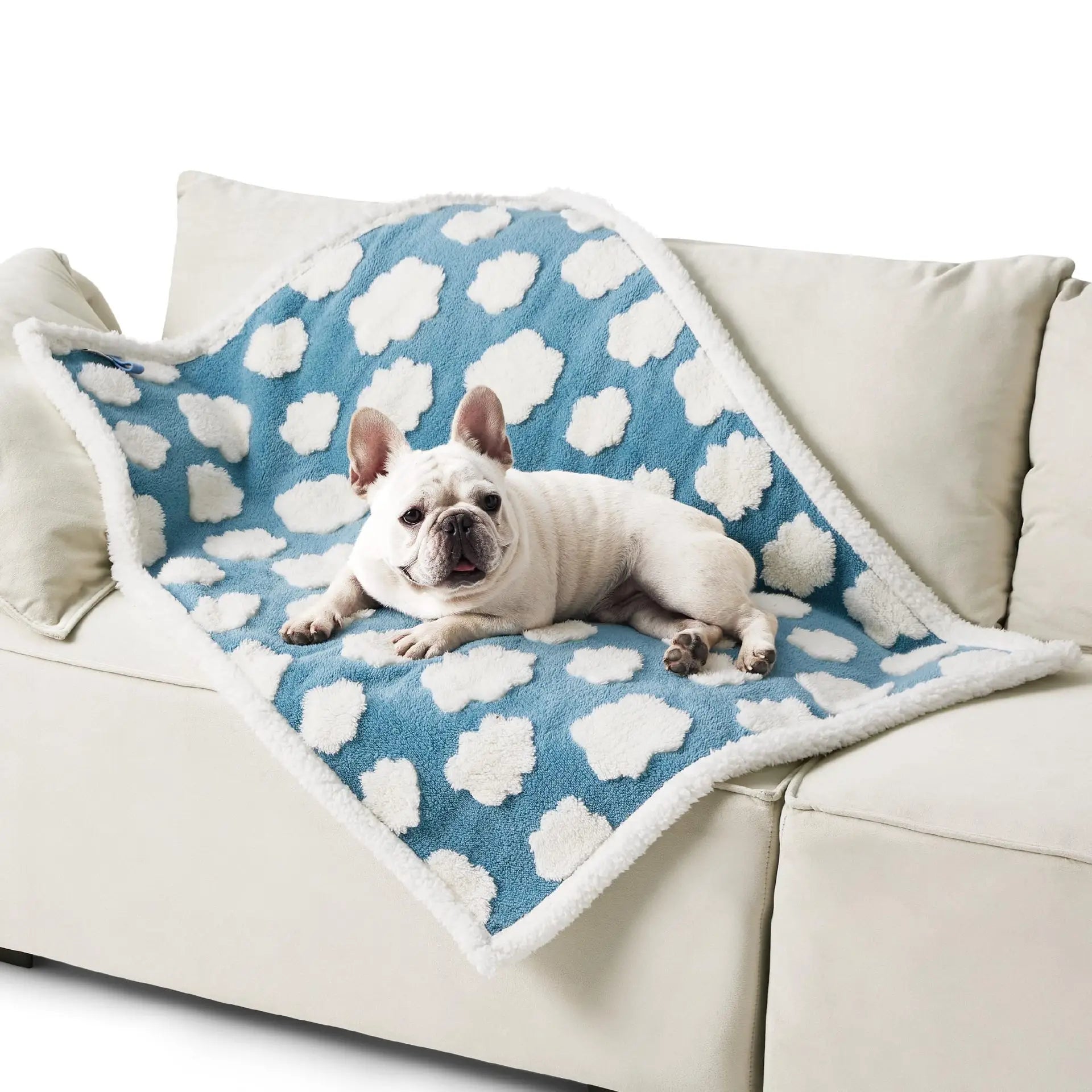 New Arrival Custom Size and Color Print Pet Blanket Warm Removable and Washable for Dogs and Cats