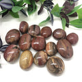 Petrified Wood Palm Stone Wholesale Price Natural Crystal Wood Fossil Palm Stone for Decoration