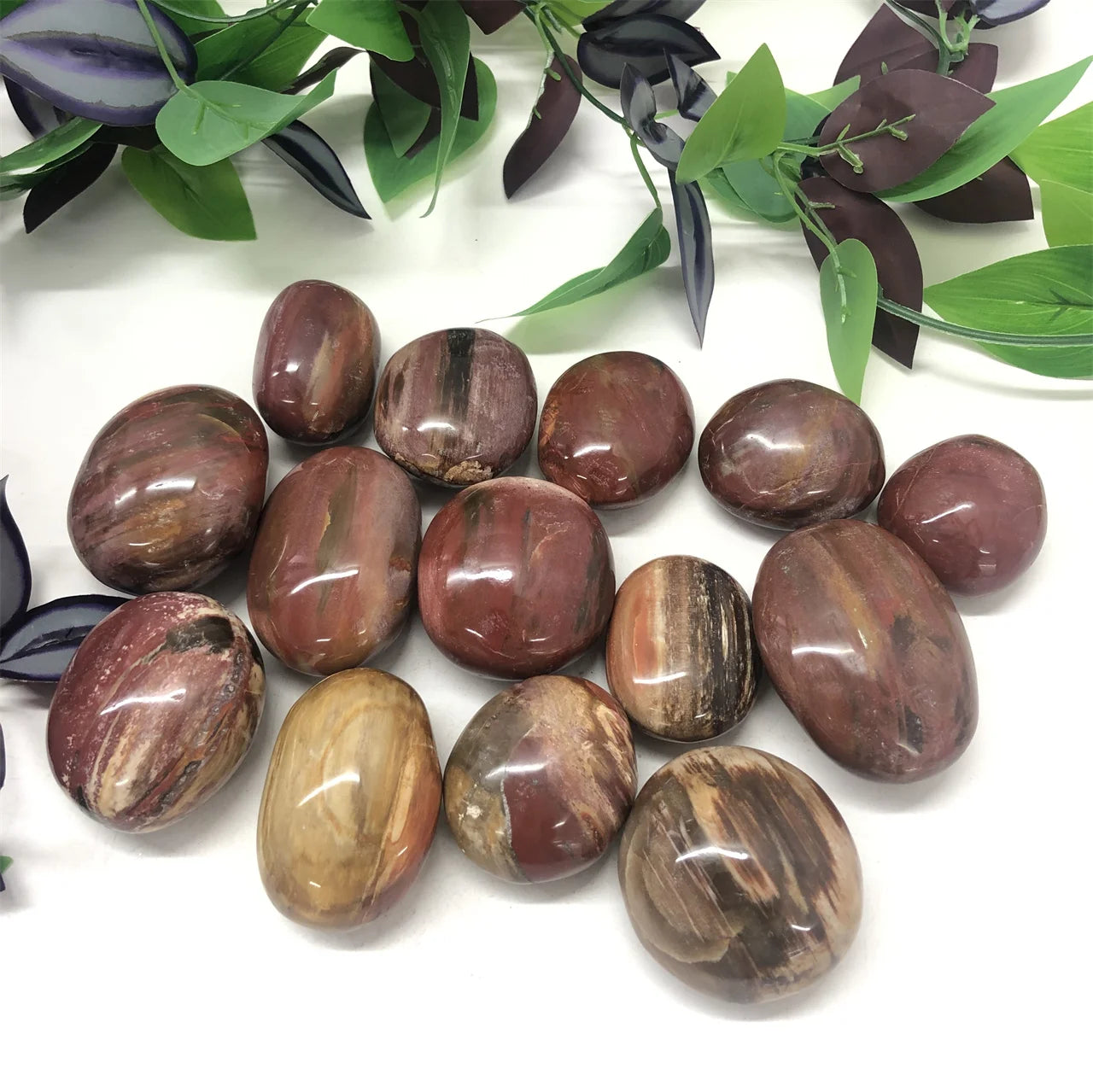 Petrified Wood Palm Stone Wholesale Price Natural Crystal Wood Fossil Palm Stone for Decoration