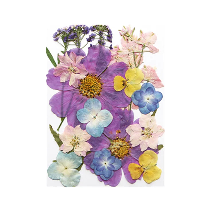 16pcs DIY Pressed Flower Material Kit for Easter Christmas & Other Occasions Includes Bookmarks Phone Cases Epoxy Face Makeup