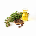 100% Pure Natural Castor Oil Pure Black Castor Oils for Hair Skin Body Care Organic Castor Oil Cold Pressed
