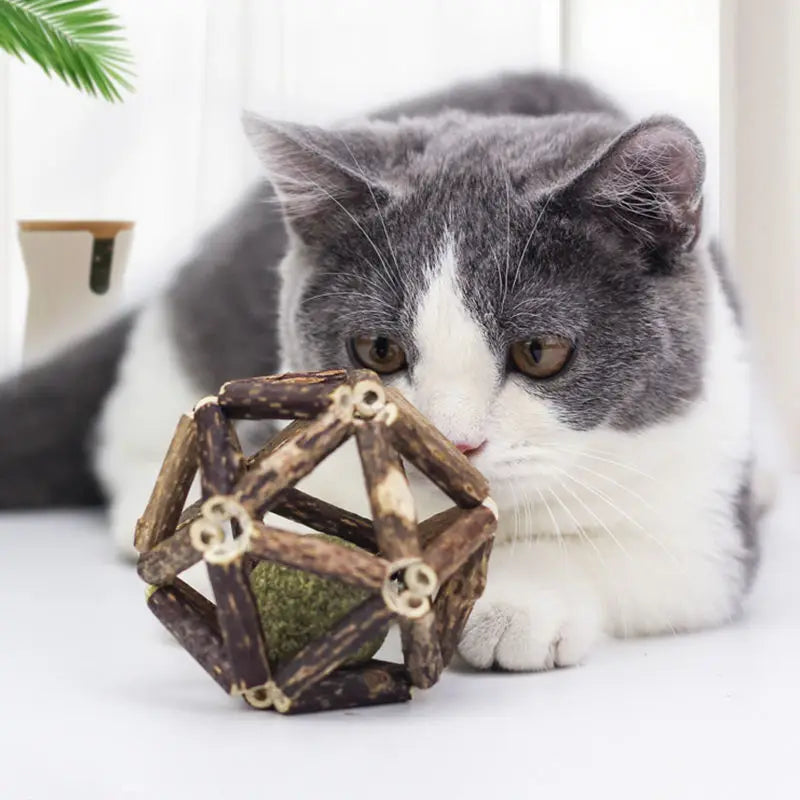 Cat Teething Toys Polygonum Pet Interactive Toys Bell Catnip Ball Cat Toy