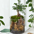 Contemporary Clear Glass Tabletop Vase Large Size for Centerpieces and Home Decor with Dried Flowers