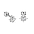 Factory Price 925 Sterling Silver Colorful CZ Earrings Set Simple Star Screw Back Stud for Women Fine Jewelry Wholesale