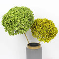 Dried Flowers and Plants White Anna Preserved Hydrangeas with Long Stem Dried Hydrangea Flowers for Home Wedding Events Decor