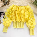 Wholesale 2026 Spring Mesh Loose and Fashionable 3D Flower Short Shirt New Korean Women's Shirt