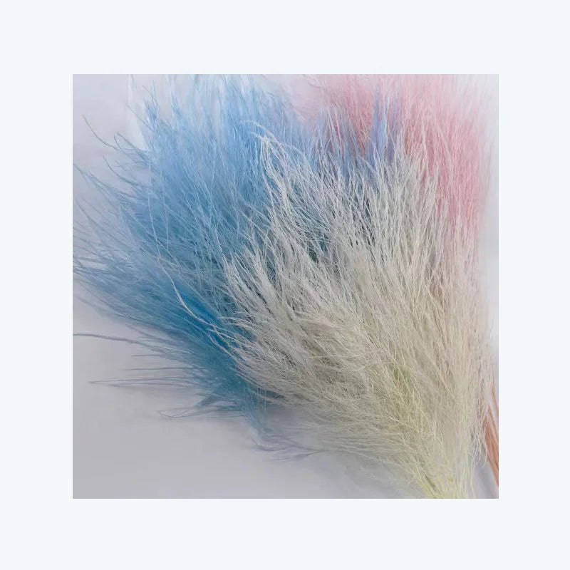 Product Ideas Dried Flowers and Plants Tiki Fern Preserved Decorative Flower Bouquet Feather Broom Grass for Home Wedding Decor
