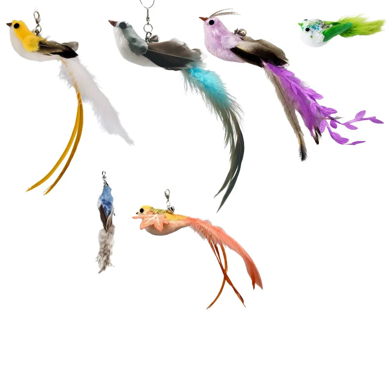 Eco-Friendly Cat Teaser with Long Steel Wire Cross-Border Exclusive New Bird Replacement Head Self-Hi Pet Supplies Suction Cup