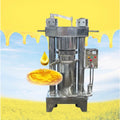 Hot Selling Avocado Oil Press Cold Press Avocado Oil Machine Avocado Oil Processing Plant