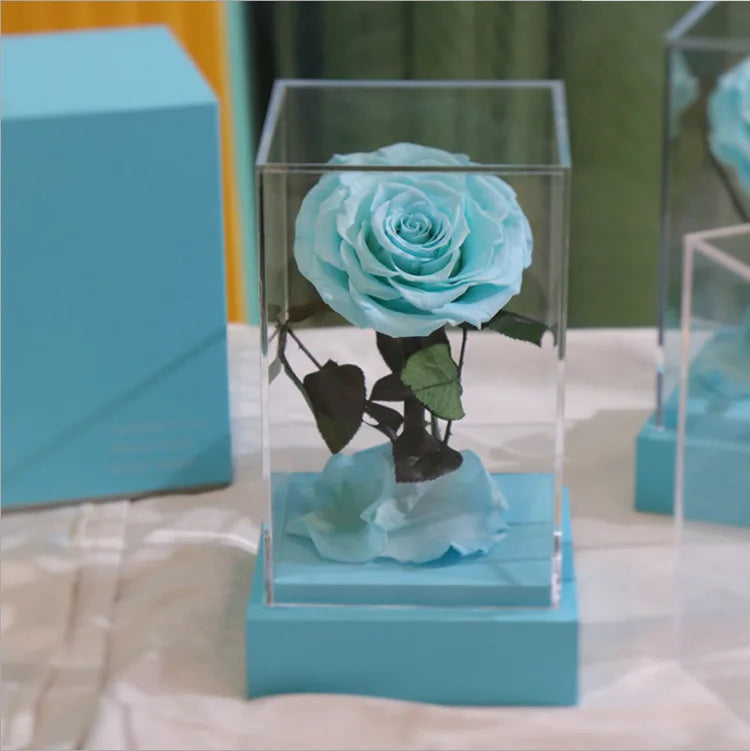 Wholesale Factory Supply 12*20cm Eternal Preserved Roses in clear Acrylic Box for Gift