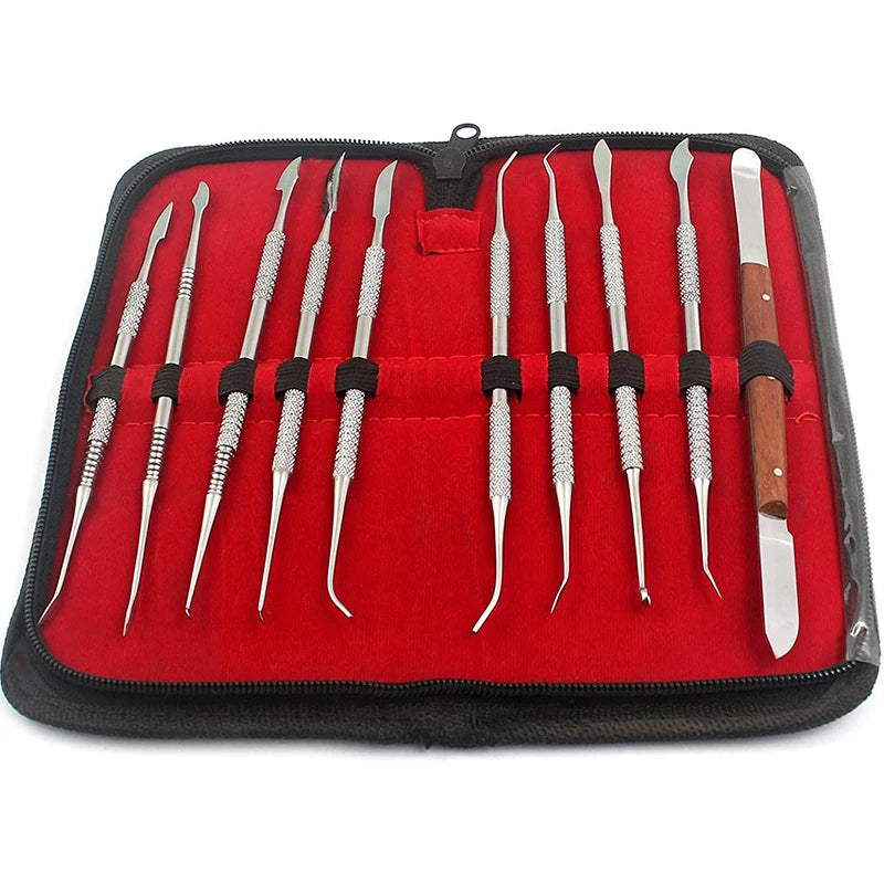 10PCS Dental Tools Set Stainless Steel Wax Clay Sculpting Tools Double Ended Wax Carving and Wax Carvers Kit