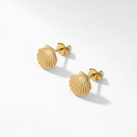 QIAOREN 11864 Waterproof Tarnish Free Stainless Steel Shell Stud Earrings Gold Textured Scallop Sea Shell Ocean Jewelry Women US