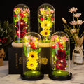 New Christmas Gifts Creative Simulation Flower Glass Cover Decoration Luminous LED Valentine's Day Gift 2025