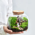 DIY Landscape Moss Bottle Glass Terrarium Vase with LED Light Cork Home Decoration Planter Weddings Tabletop Flower Vase