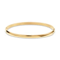 2025 Dazan New 18k Gold Plated 316l Stainless Steel Super Shiny Hinge Hypoallergenic Simple Camber 4mm Bracelet Jewelry