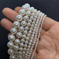 Factory Wholesale Diy Jewelry White Shell Beads Loose Beads Colorful Shell Beads for Making Necklace Bracelets