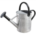 1 Gallon Stainless Steel Galvanized Finish Gardening Watering Can with Detachable Spout and Nozzle Head