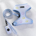 Personalized Embroidery No Pull Dog Harness Y Shape Custom Print Pet Collars Leashes Dog Harness Vest Own logo Custom Low Moq