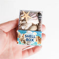 Natural Marine Fossils Specimen Home Fish Tank Decoration Beach Shell Marine Fossils Craft