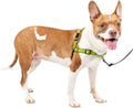 Dog Harness Martingale Loop D-ring Nylon Stops Pulling Reflectivity Enhances Visibility Low Light S/M/L Sizes
