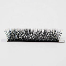 W-3D W-4D W-5D W-6D W-8D Eyelash W Shape Wholesale Korean Clover Eyelash Extensions Individual W Lashes
