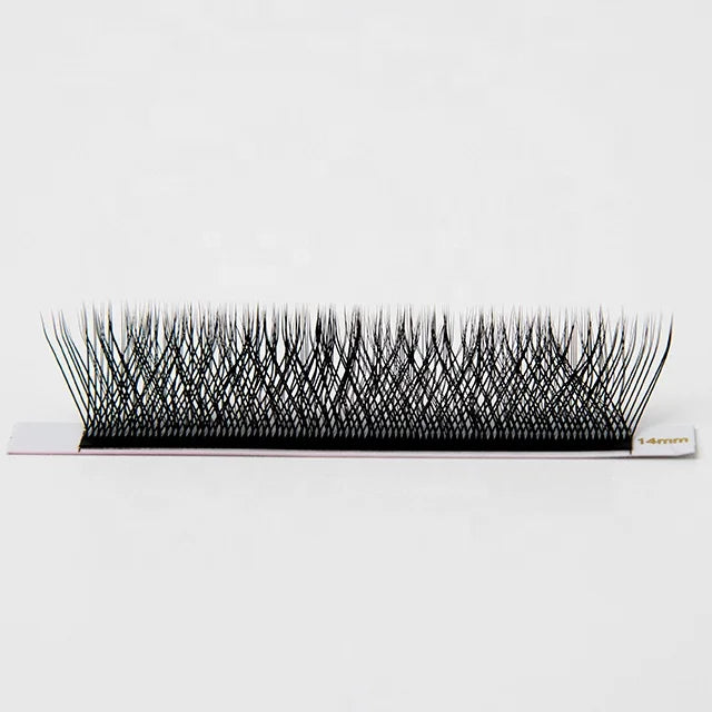 W-3D W-4D W-5D W-6D W-8D Eyelash W Shape Wholesale Korean Clover Eyelash Extensions Individual W Lashes