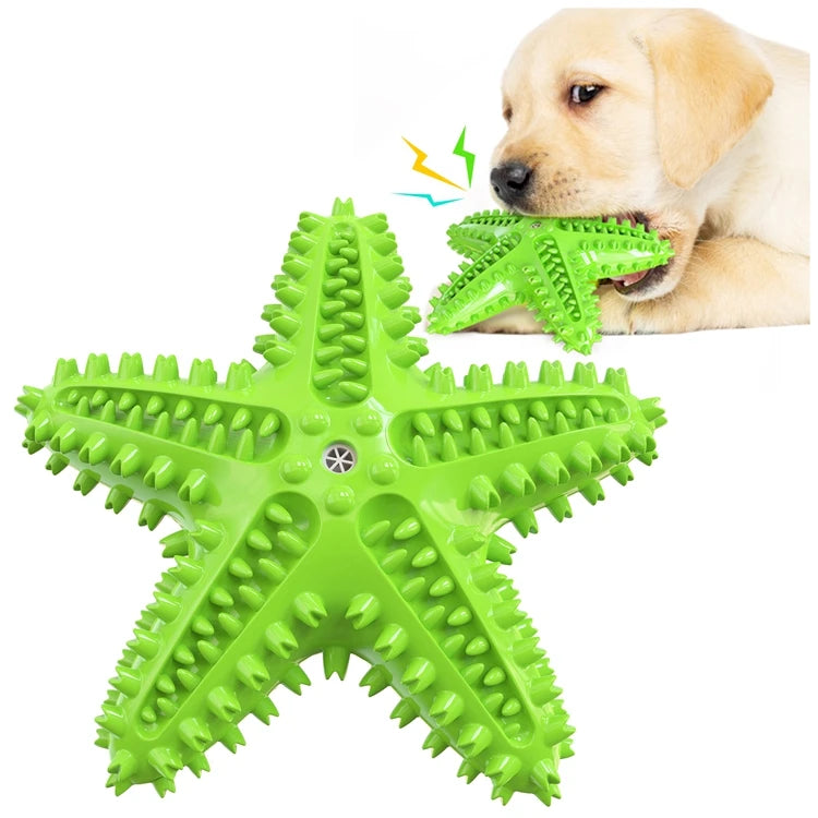 ZMaker Hot Sale Starfish Shaped Tooth Brush Sounding Squeaky Dog Chew Toy