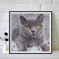 Handpainted Gift DIY 5D Diamond Painting Full Cute Animal Canvas Painting Cat Cats Bead Painting Home Decoration Adult Crafts