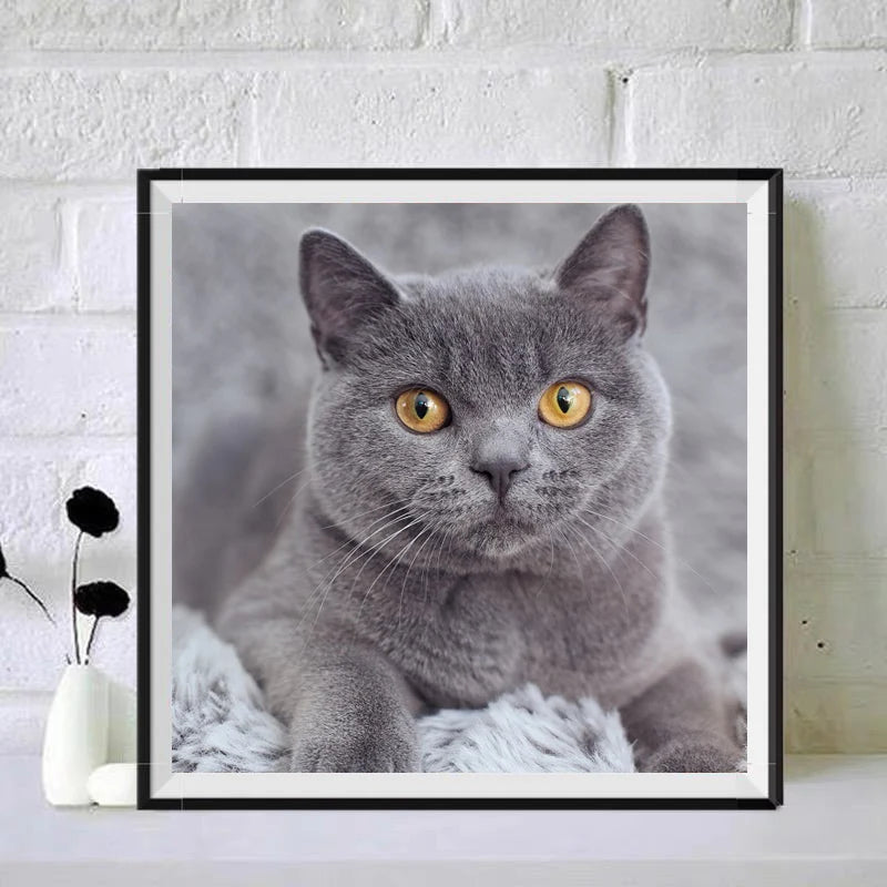 Handpainted Gift DIY 5D Diamond Painting Full Cute Animal Canvas Painting Cat Cats Bead Painting Home Decoration Adult Crafts