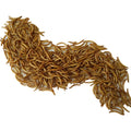 High Protein Dried Mealworms and Dried Tenebrio Larvae From Vietnam for Horse Pig Fish Dog Use