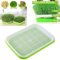 Plant Hydroponic Sprouts Seeding Tray Growing Vegetables Bean Plate Tray Kit Microgreens Tray
