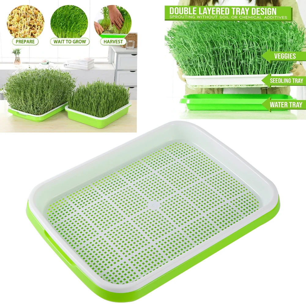 Plant Hydroponic Sprouts Seeding Tray Growing Vegetables Bean Plate Tray Kit Microgreens Tray