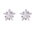 925 Pure Silver Ear Nail Star Zircon Korean Simple Personalized Mini Earrings New Trend for Men and Women