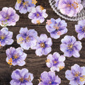 20pcs/pack PET Stickers Fantasy Mist Floral Series Stamping Flower Handbook Decoration Material Stickers