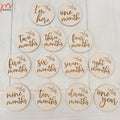 3.9 Inch Baby Shower Gift Wooden Number Discs Baby Milestone Photo Props