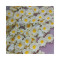 100Pcs 27MM Tiny Resin Daisies Flower Flatback Resin Cabochons Artificial Daisy Flower Embellishments for DIY Party Decorations
