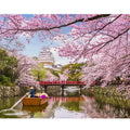 Modern Garden Lake Picture DIY Paint by Numbers Kit for Home Decoration Starter Set with Moon on Numbers Classic Style 40x50cm