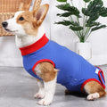XS~3XL Low Price Wholesale Custom Acceptable Good Price Dog Diapers Washable Reusable Female
