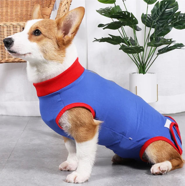 XS~3XL Low Price Wholesale Custom Acceptable Good Price Dog Diapers Washable Reusable Female