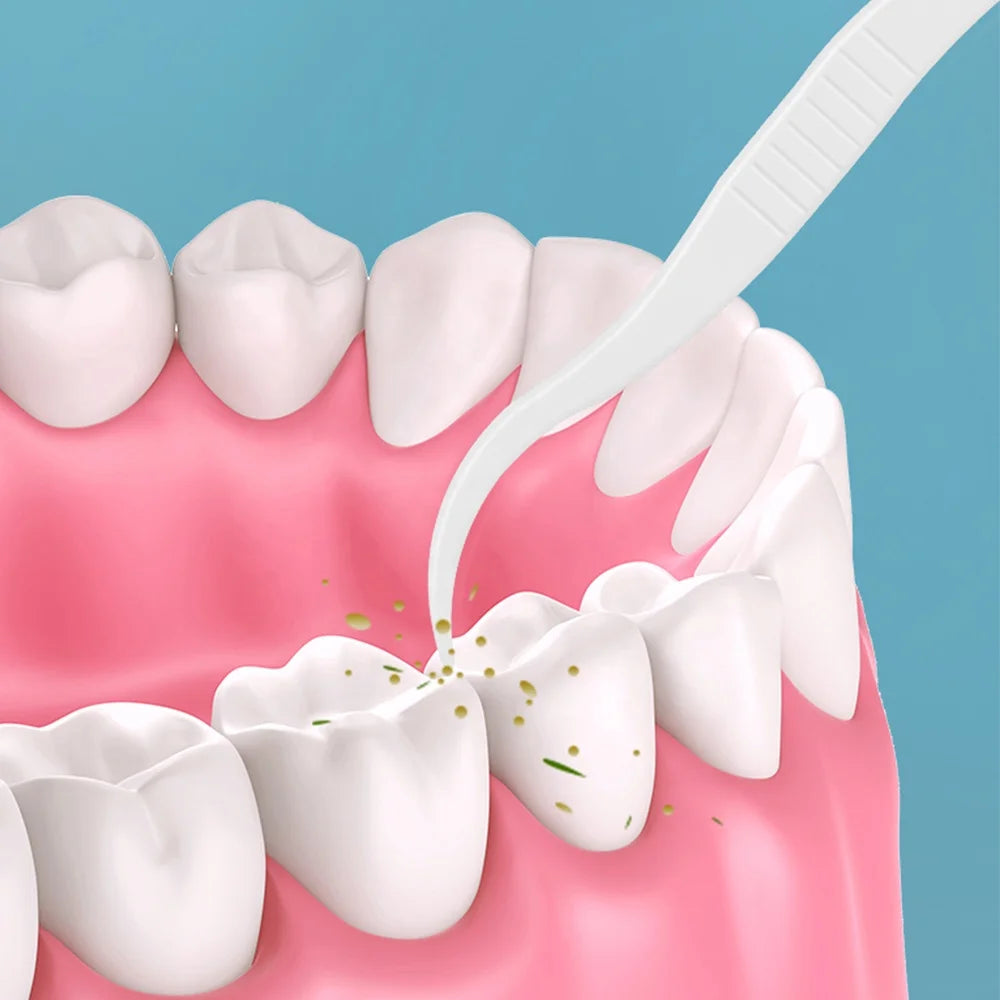 Guber Customized Logo Orthodontic Dental Flosser with Picks Personalized Wholesale Dental Floss