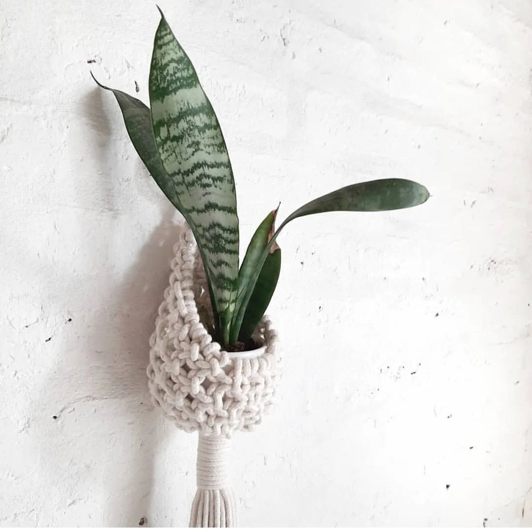 The High Quality and Cheap Flowerpot Net Bag Garden Hanging Baskets Balcony Hanging Flower Pot Macrame Plant Hangers