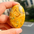 Wholesale Natural High Quality Crazy Agate Palm Crystal Palm Stone Healing Yellow Agate Palm Shaped for Home Decoration and Gift
