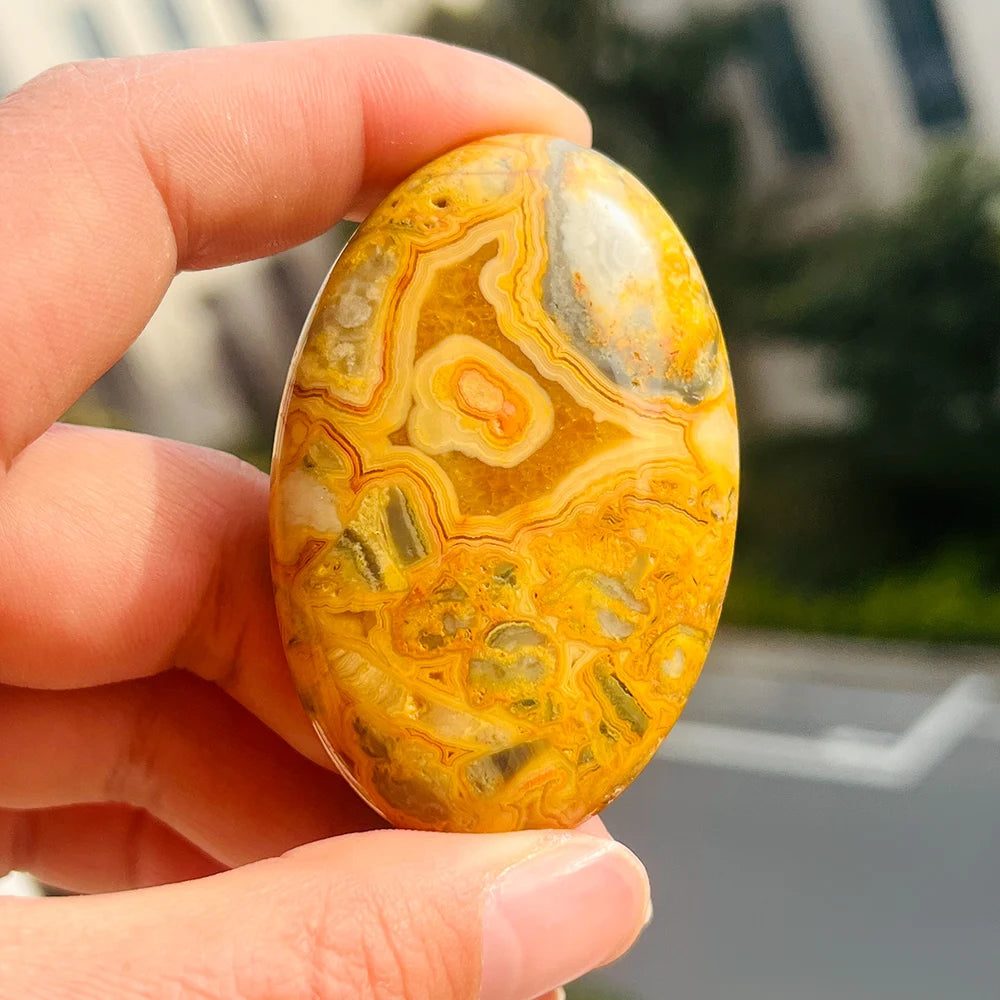 Wholesale Natural High Quality Crazy Agate Palm Crystal Palm Stone Healing Yellow Agate Palm Shaped for Home Decoration and Gift