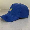 Custom 5 Panel Soft Baseball Cap with Corduroy Fabric 3D Puff Embroidery Logo Cotton Sweatband and Winter Sport Hat.