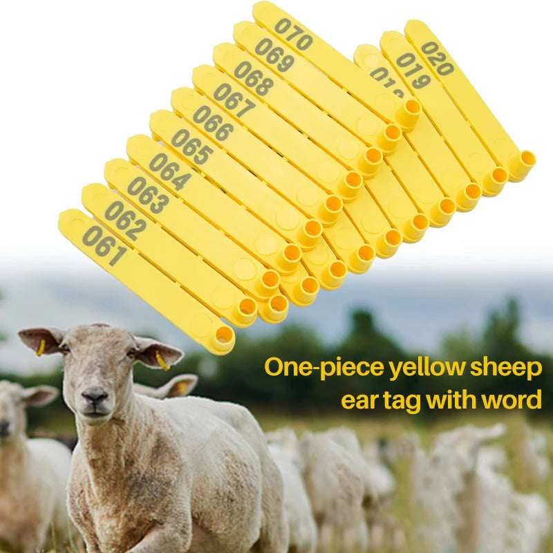 Sheep Ear Tag 100pcs/bag Animal Ear Tag 75*103mm Sheep Goat Blue Yellow Green Ear Tag for Laser Printer