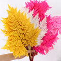 Wholesale Colorful Preserved Flowers Real Ming Fern Dried Flower Bouquet Leaf Arachniodes for Wedding Decoration
