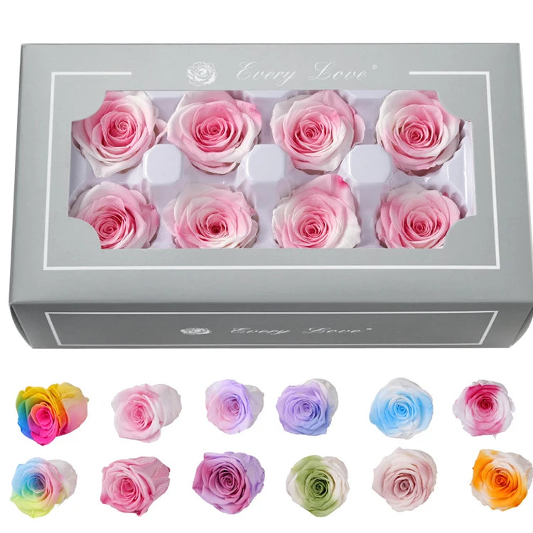 Multi Colors Preserved Roses Beautiful Colors Natural Real Rose Flower Grade AA 4 - 5 cm 8 Pcs Everlasting Roses