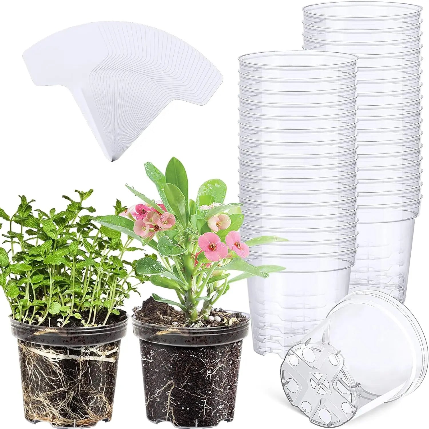 Durable Thick 4 Inches Transparent Flower Planter Transparency Nursery Pots Transplant Plastic Clear Pots for Plants with Labels